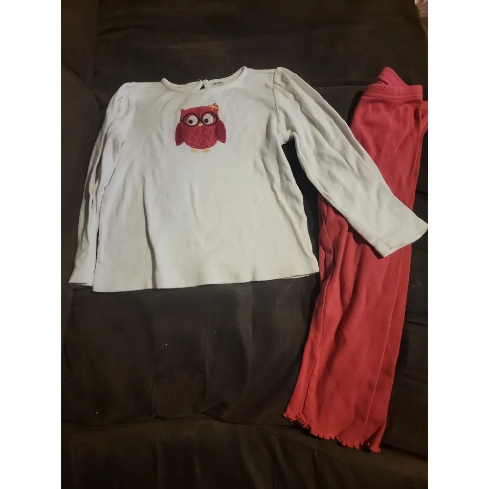 Gymboree fall homecoming pink owl‎ top 4t pink leggings 3t